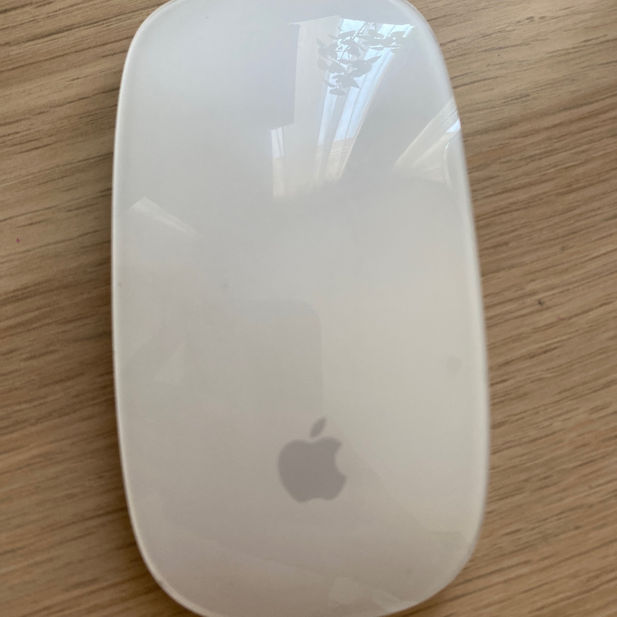 Magic mouse 2
